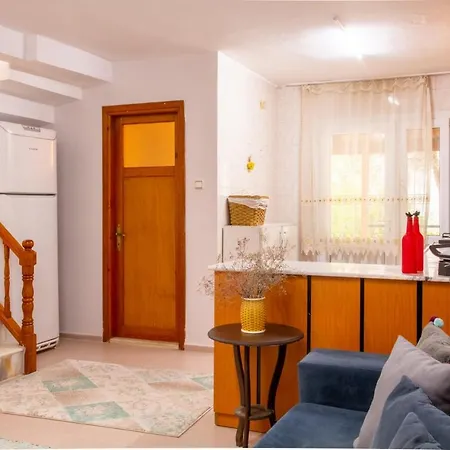 Apartment Flat Wi